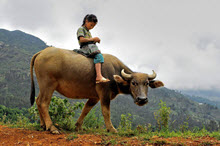Vietnam - Sapa Trekking title=